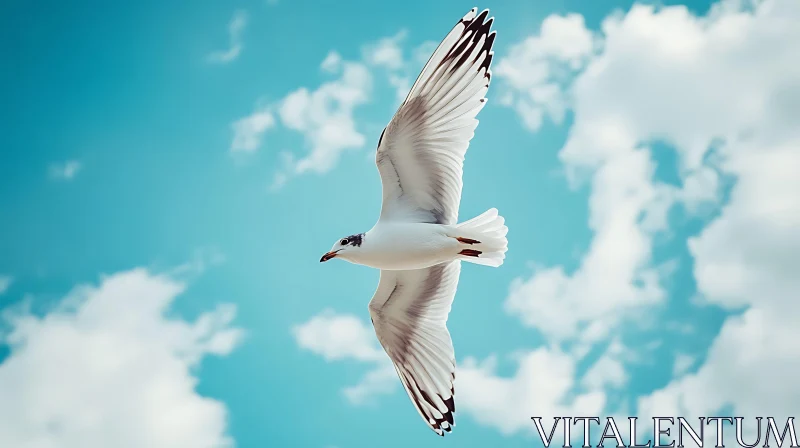 Seagull Flying in the Sky AI Image