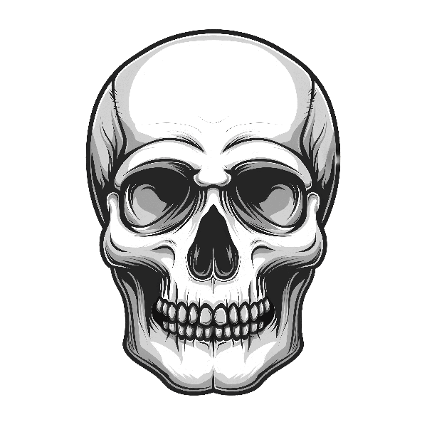 POD Design Detailed Skull Illustration