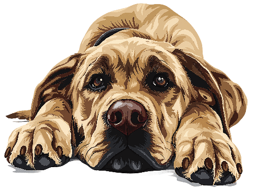 Cane Corso Dog with Sad Expression - Digital Art