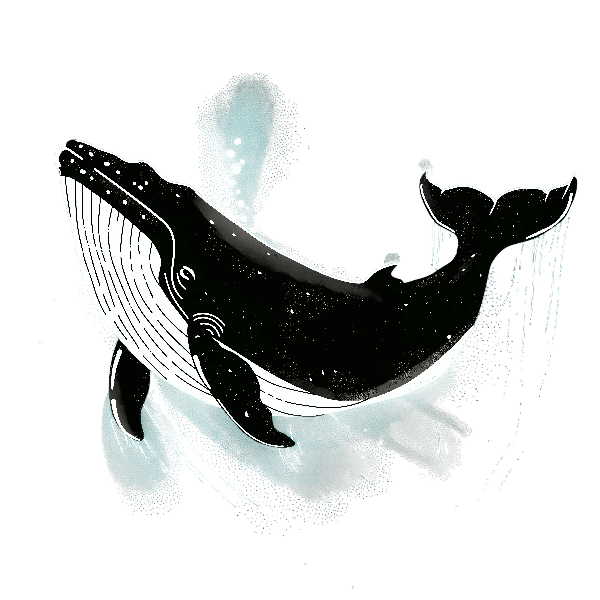 Elegant Marine Creature Art POD Design