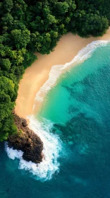 Tropical Island Aerial Beach Scene