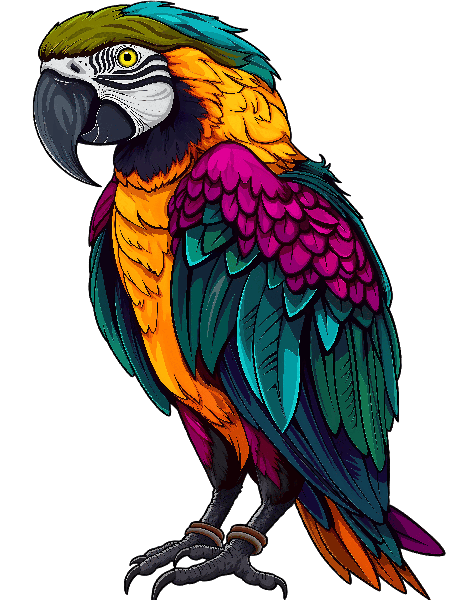 POD Design Colorful Parrot Illustration for Apparel