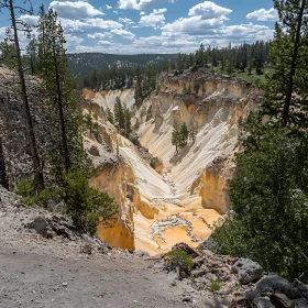 Scenic Erosion Canyon with Clusters of Pine Trees