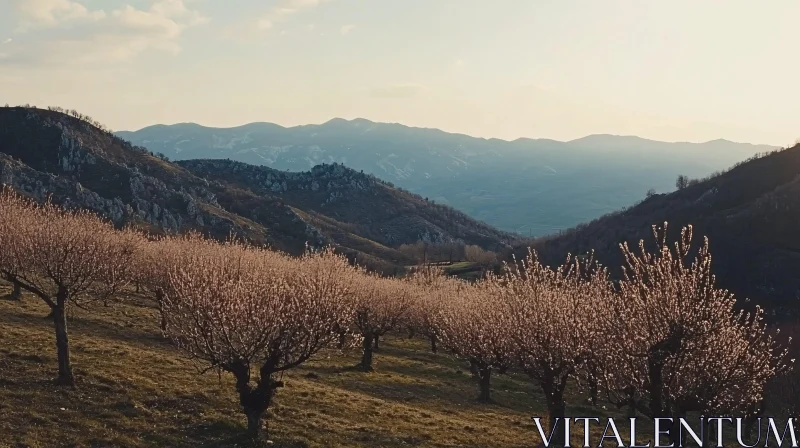 Blossoming Orchard with Mountain Backdrop