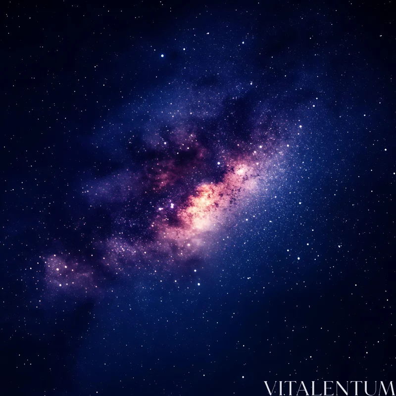 Indigo and Rose Starry Night