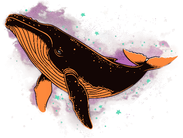 Celestial Whale Print POD Design