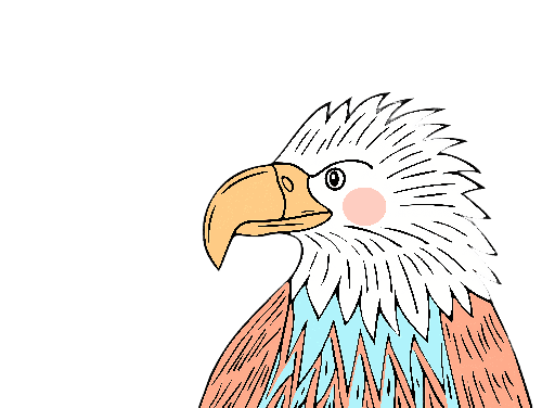 POD Design Cartoon Bald Eagle Head with Yellow Beak Illustration