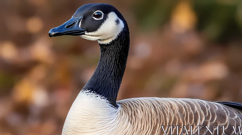 Portrait of a Goose with Detailed Plumage AI Image