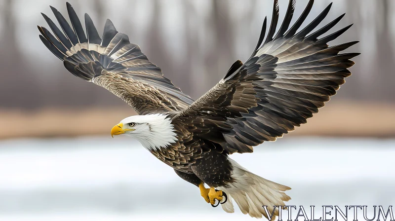 Bald Eagle Soaring Gracefully AI Image