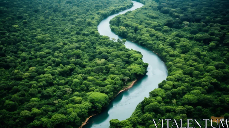 Aerial View of Lush Rainforest and River - Nature's Majestic Tapestry AI Image