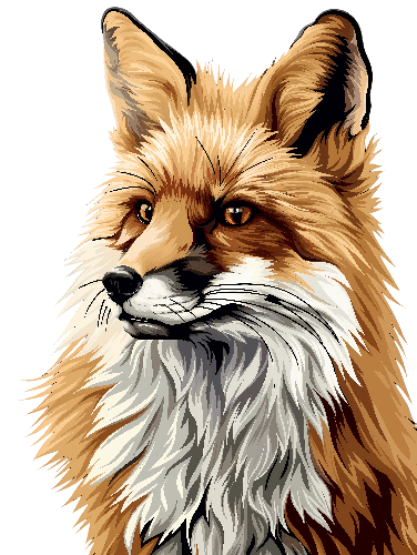 Red Fox Vector Illustration for Merchandise Design POD Design