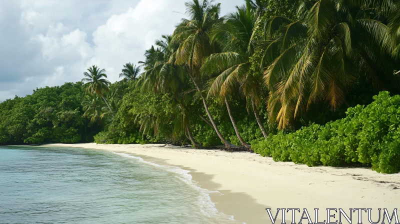 AI ART Tropical Paradise: Serene Beach with Palms and Clear Water