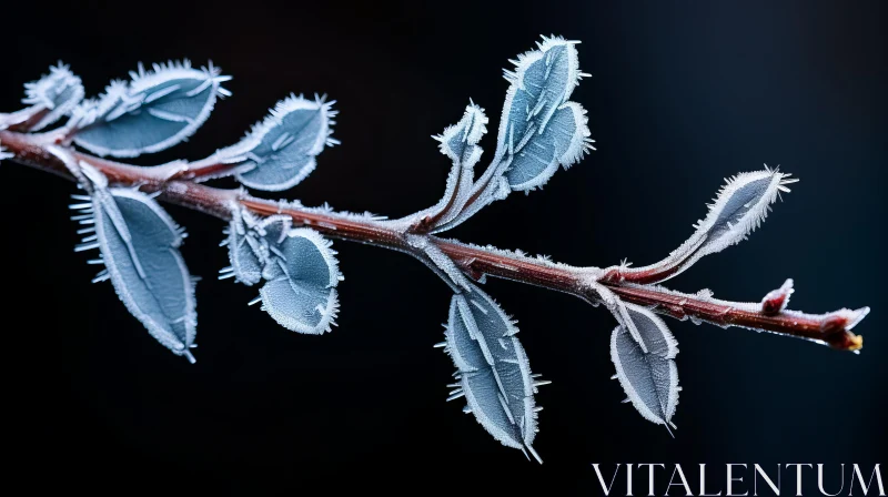 Frosted Tree Branch in Crimson and Azure - Winter Photography AI Image