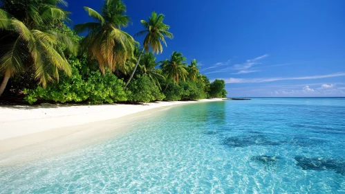 Idyllic Tropical Beach Scene