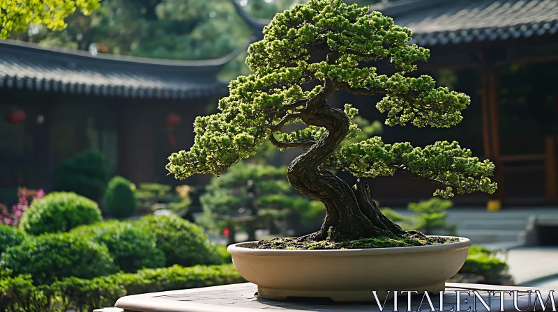 Miniature Tree Art in Tranquil Garden Setting AI Image