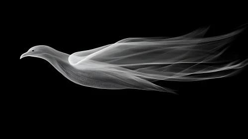 Ghost Bird: Linear Abstract Art