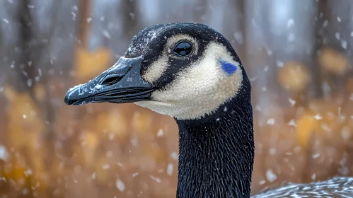 Serene Winter Goose