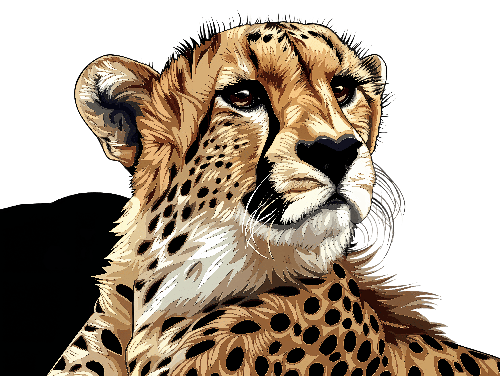 POD Design Cheetah Head Vector Illustration for T-Shirt Design