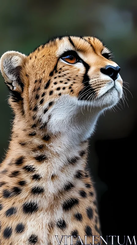 Cheetah Portrait in Nature AI Image