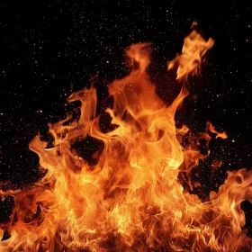 Roaring Fire with Glowing Embers