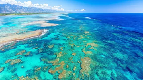 Aerial View of Ocean with Coral Reefs: Vibrant Australian Landscape