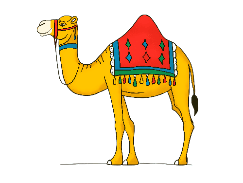 Friendly Cartoon Camel Illustration POD Design