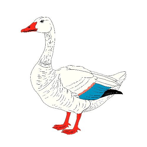 White Goose Apparel Design with Colorful Accents