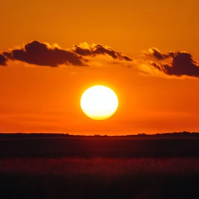 Sunset field