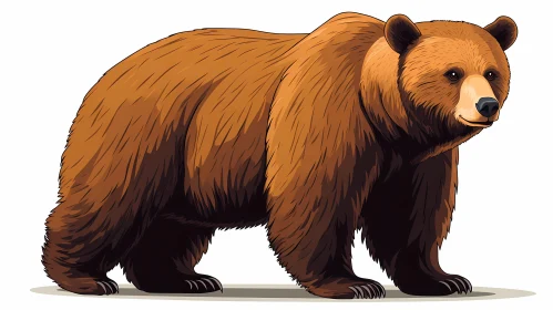 Brown Bear Drawing