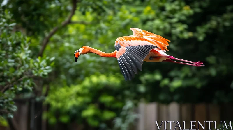 Pink Flamingo Flying AI Image