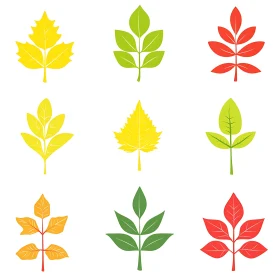 Assorted Fall Leaves Graphic Design