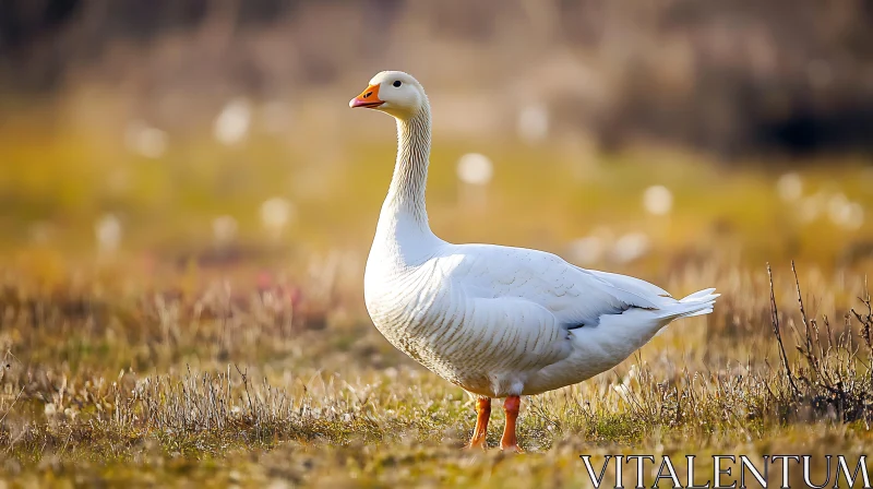 Goose Portrait in Natural Light AI Image