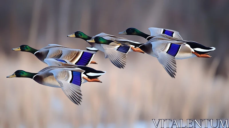 Flying Mallards AI Image