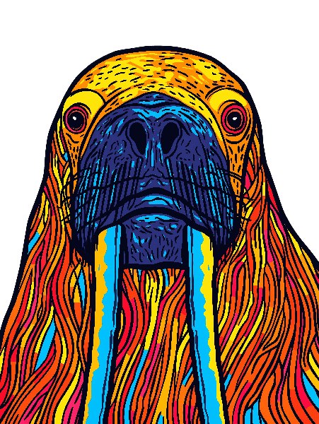 POD Design Vibrant Walrus Graphic Art