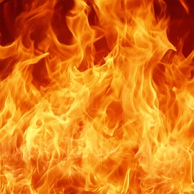 Flames in Dynamic Motion