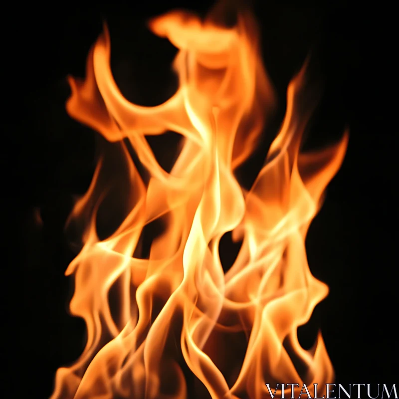 Fiery Flames Against Dark Background
