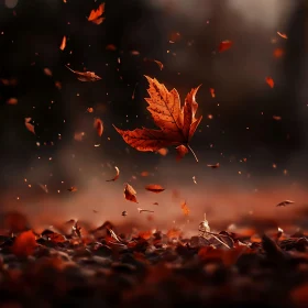 Falling Leaves: Autumn's Gentle Dance