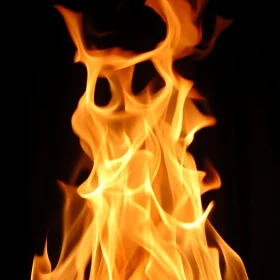 Intense Flame Patterns in Dark Background