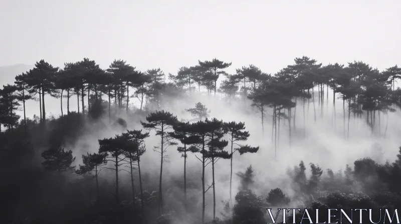 AI ART Misty Forest in Black and White