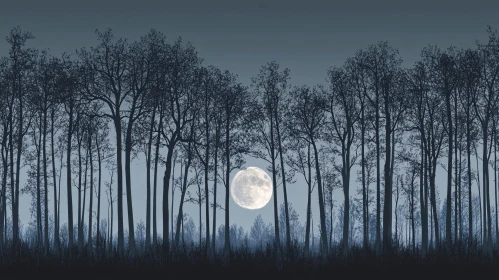 Tranquil Forest Night with Full Moon