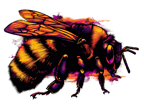 Digital Illustration of a Bee in Watercolor Style POD Design