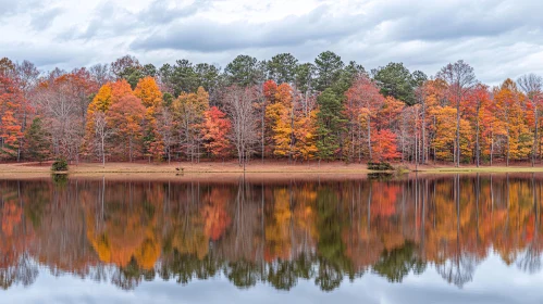 Colorful Fall Trees Mirrored in Tranquil Water