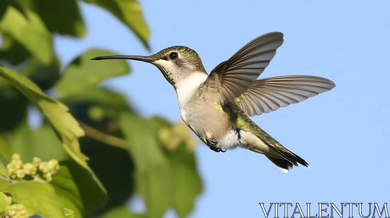 Delicate Hummingbird Suspended in Air AI Image