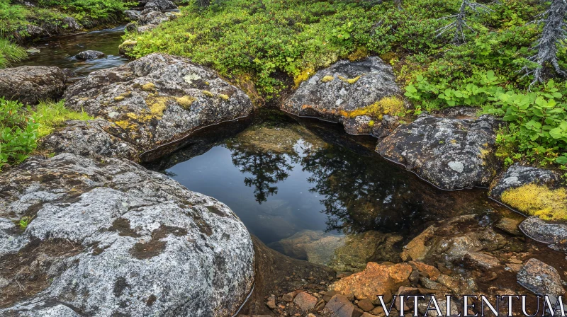 AI ART Serene Rocky Stream with Reflective Pool