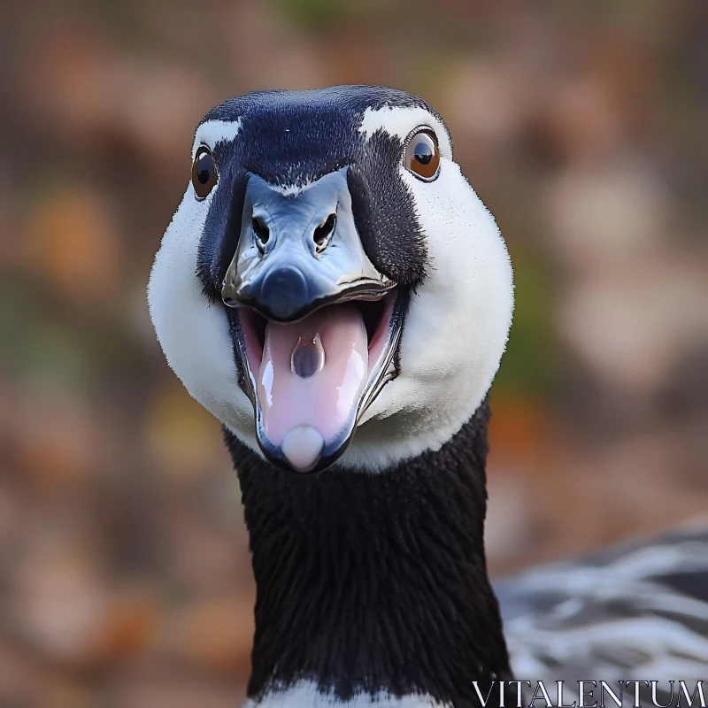 AI ART Barnacle Goose with Open Beak