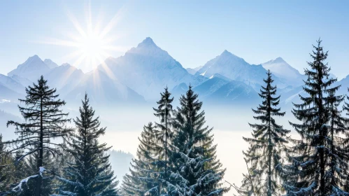 Serene Snow-Capped Mountains Landscape with Evergreen Trees
