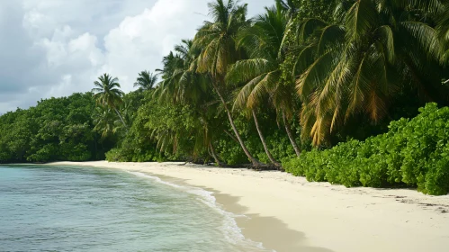 Tropical Paradise: Serene Beach with Palms and Clear Water