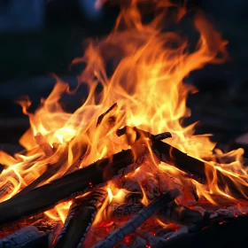 Dancing Flames Over Charred Logs