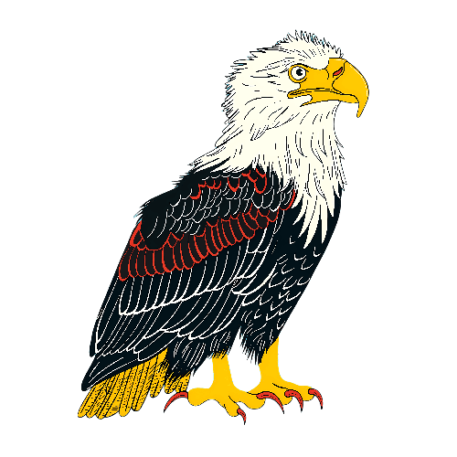 Cartoon Bald Eagle T-Shirt Design Illustration POD Design