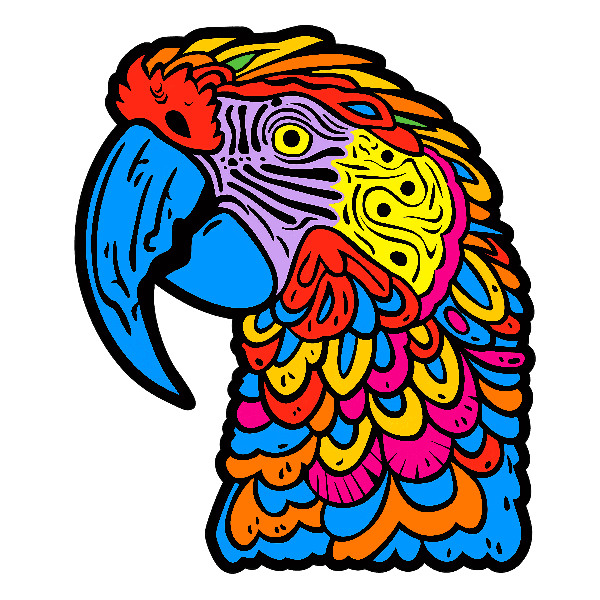 Colorful Parrot Illustration for Apparel POD Design